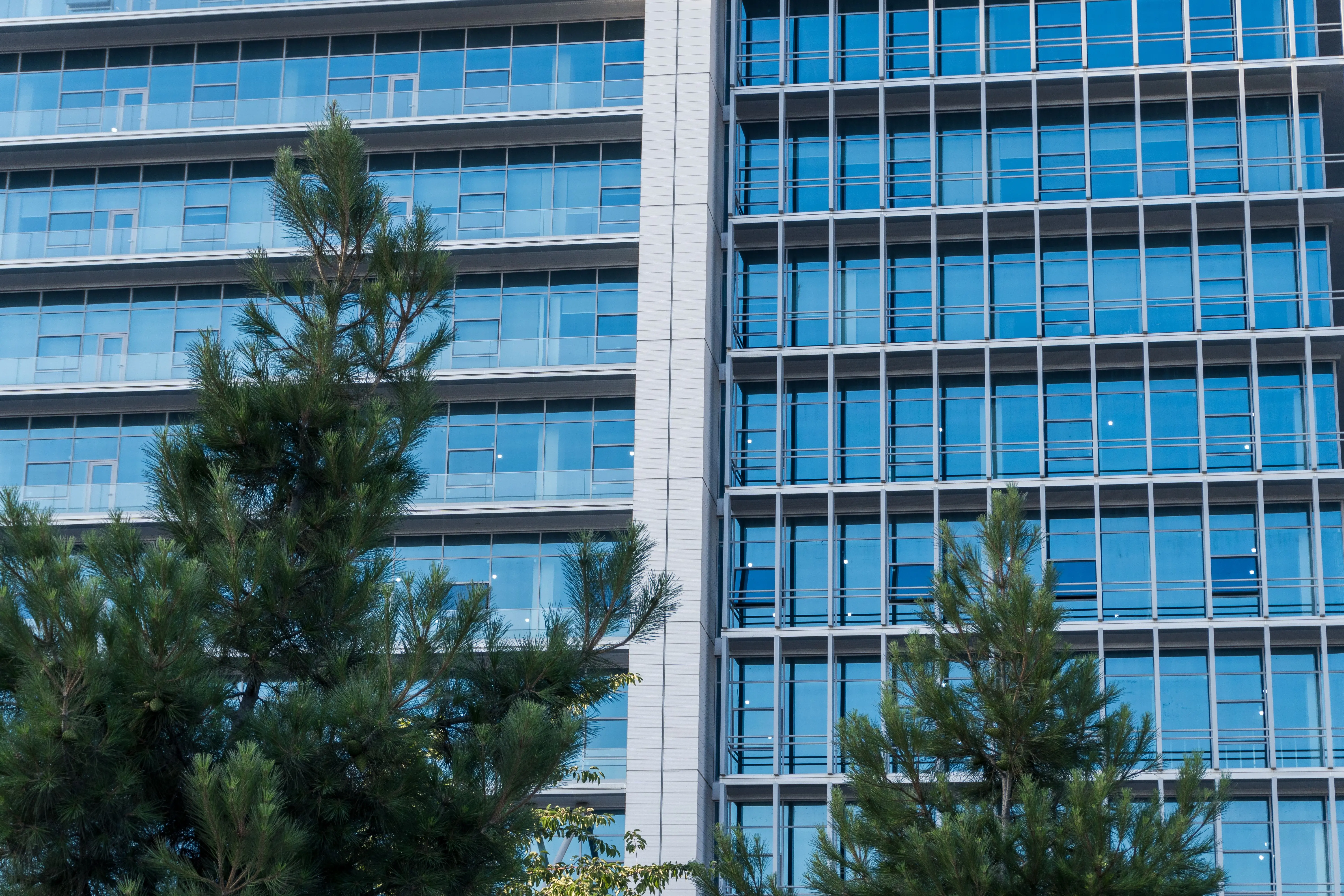 Sustainability and Green Building