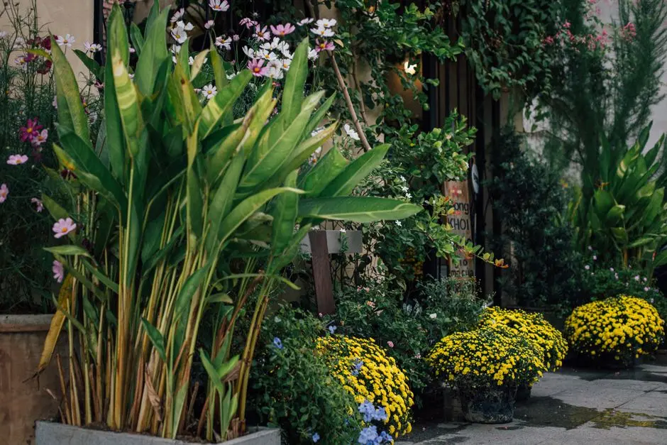 Garden at DLF ONE MIDTOWN, Moti Nagar, New Delhi