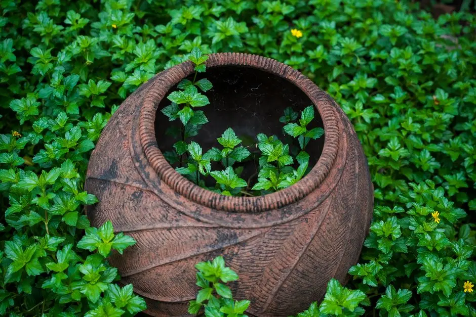 Garden at DLF PRIVANA WEST, Sector 76, Gurgaon