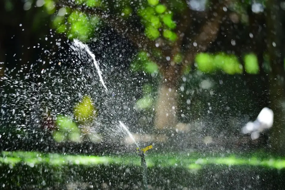 Garden at DLF SECTOR 128 NOIDA, Noida