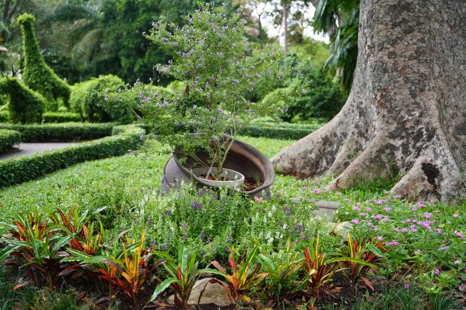 Garden at DLF PAREL, Mumbai