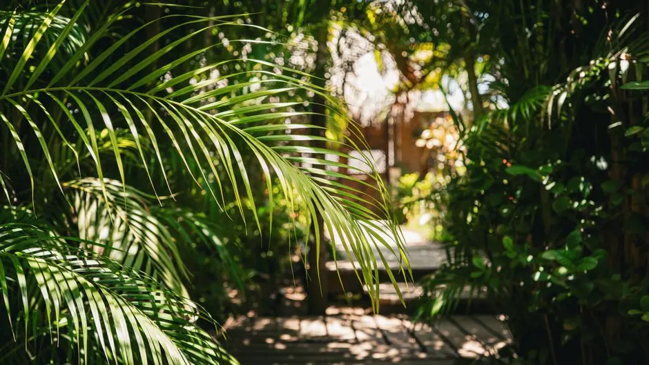Garden at DLF SENIOR LIVING GURUGRAM, Sector 63, Gurgaon