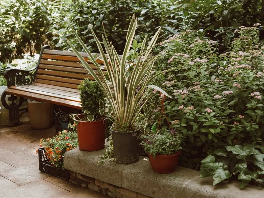 Garden at DLF PRIVANA PHASE 3, Sector 76-77, Gurgaon