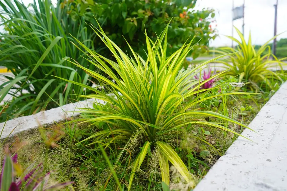 Greens & Outdoors at DLF SECTOR 66 RESIDENCES, Gurgaon
