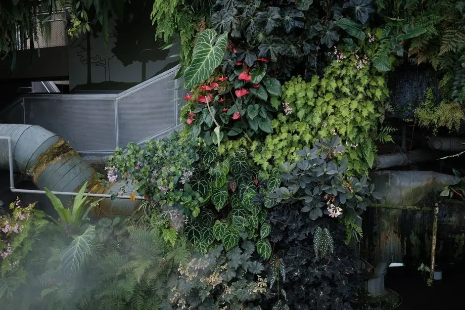 Greens & Outdoors at DLF CITY CENTRE, Sector 5, Panchkula