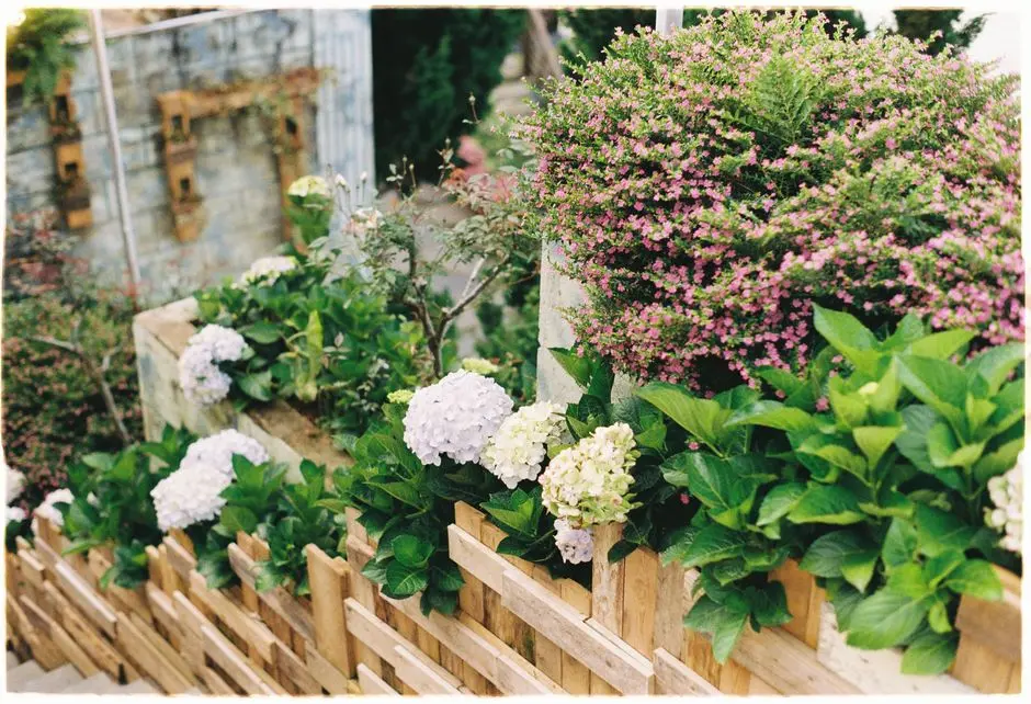 Greens & Outdoors at DLF MINI CAMELLIAS, Sector 42, Gurgaon