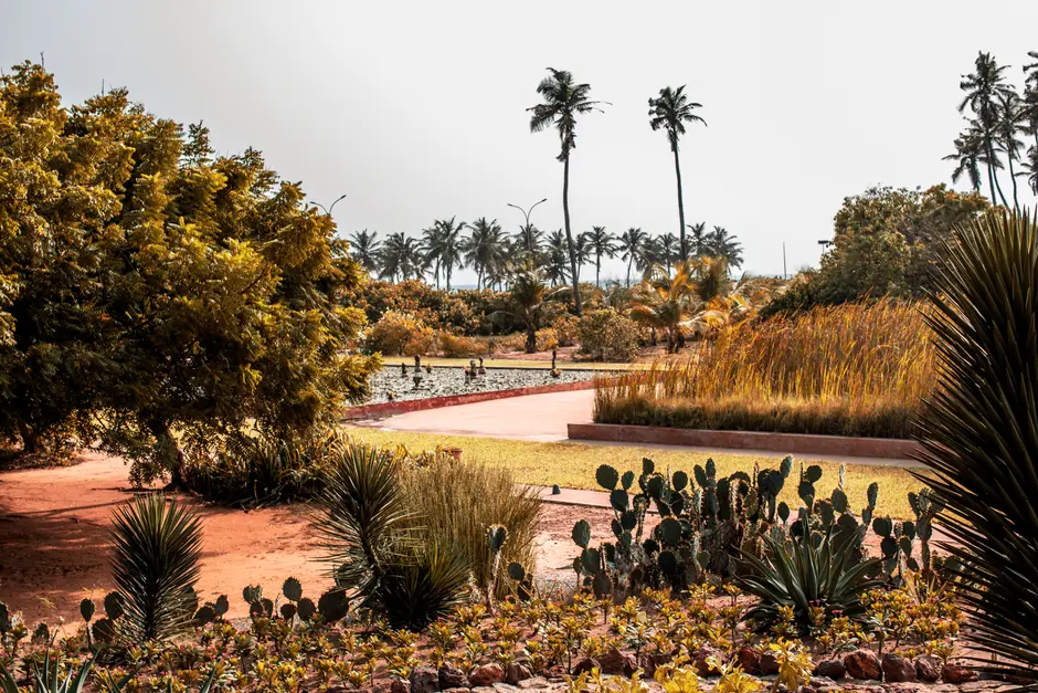 Greens & Outdoors at DLF SECTOR 58, Gurgaon