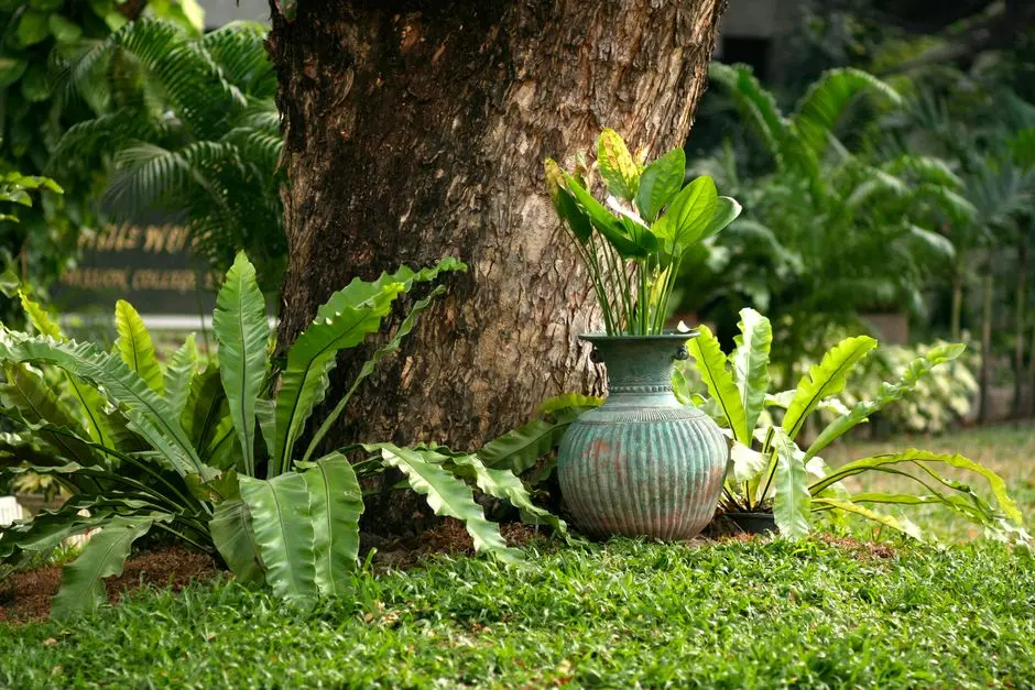 Garden at DLF THE VALLEY, Sector 3, Pinjore-Kalka Urban Complex, Panchkula