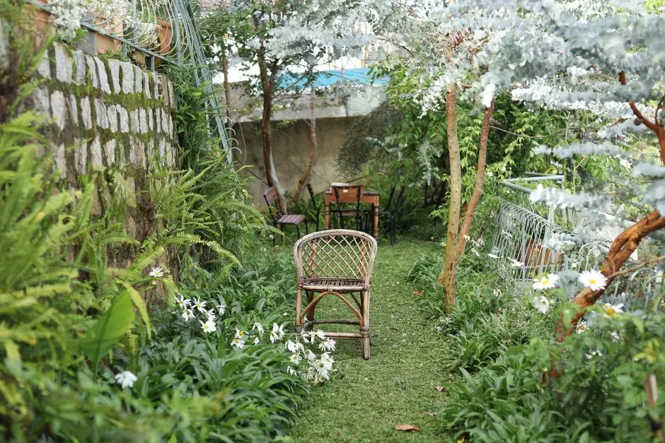 Greens & Outdoors at DLF PROMENADE GOA, Patto Plaza, Panaji