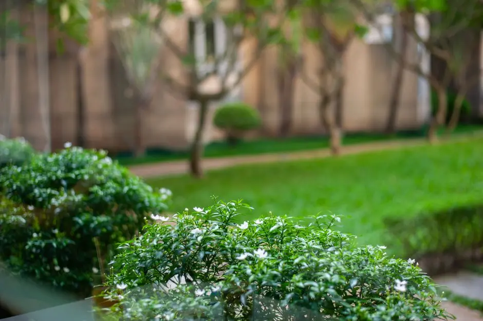 Greens & Outdoors at DLF REIS MAGOS VILLAS, Goa