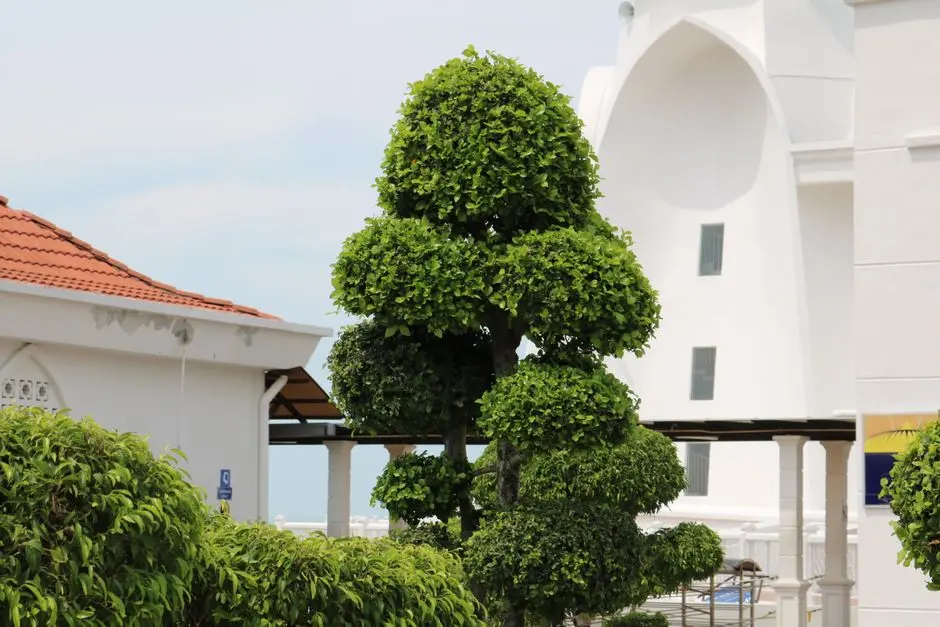 Greens & Outdoors at DLF REIS MAGOS VILLAS, NORTH GOA, North Goa