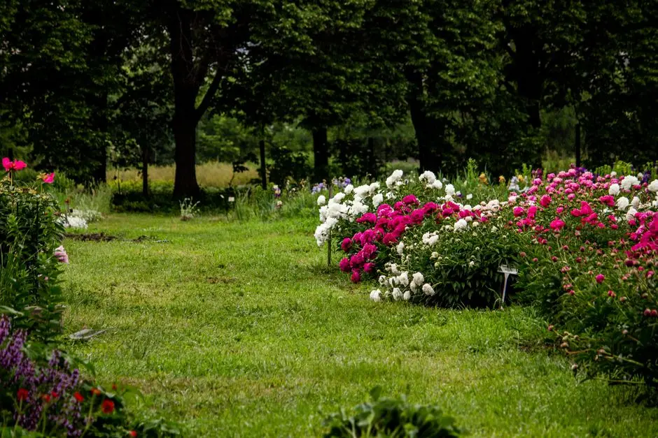 Greens & Outdoors at DLF GOA, PANAJI, Reis Magos, Panaji, Goa