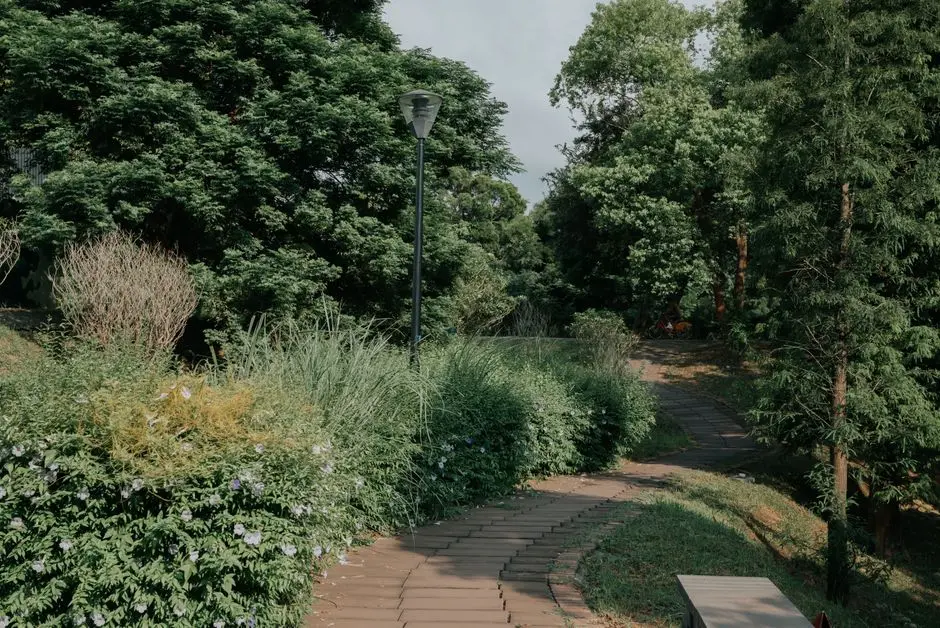 Greens & Outdoors at DLF ARCADE 68, Sector 68, Gurgaon
